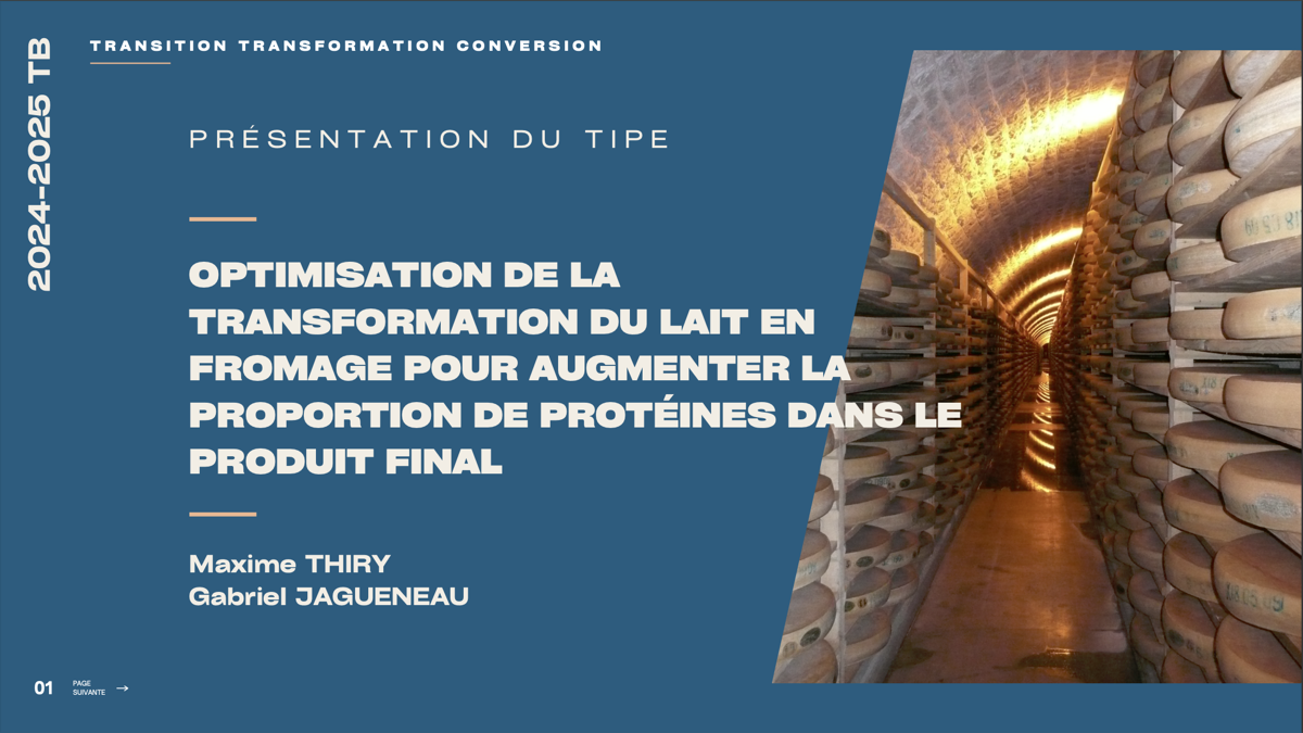 TIPE Protein optimization